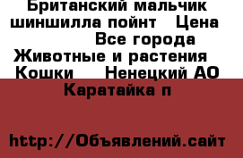 Британский мальчик шиншилла-пойнт › Цена ­ 5 000 - Все города Животные и растения » Кошки   . Ненецкий АО,Каратайка п.